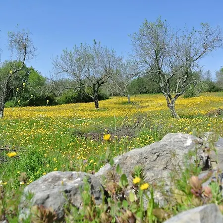 Candelaria 4* Corregos de Monte Seco