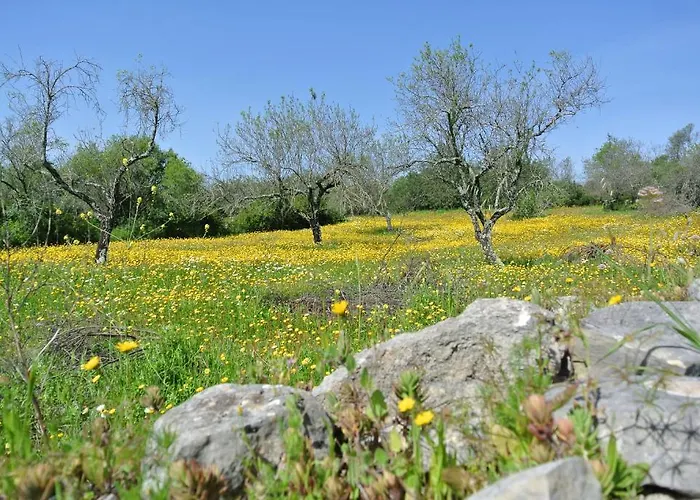 Candelaria 3* Corregos de Monte Seco